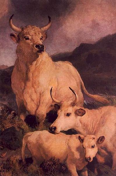 Sir Edwin Landseer Wild Cattle at Chillingham Sweden oil painting art